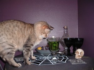 cat and absinthe